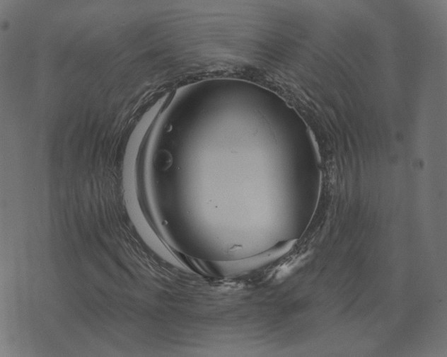 X0000076440916200610061253