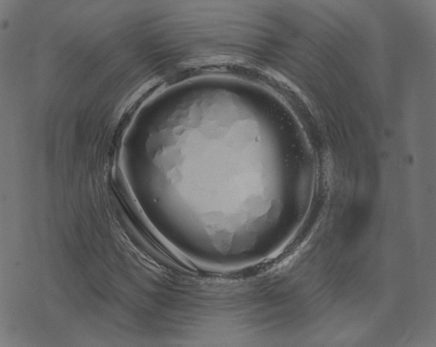 X0000076440921200610061253