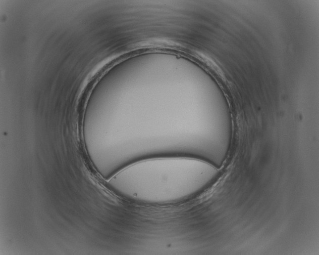 X0000076440931200610061254