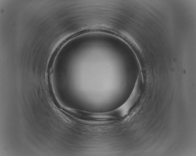 X0000076440932200610061254