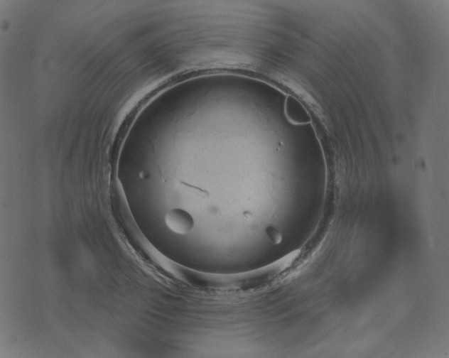 X0000076440933200610061254