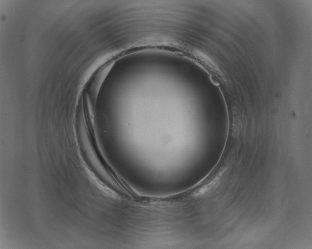 X0000076440942200610061254