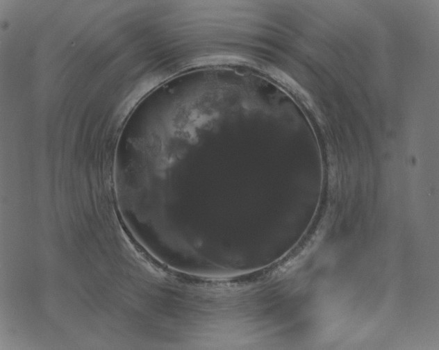 X0000076440945200610061254