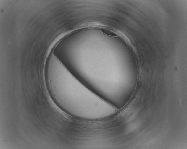 X0000076440947200610061254