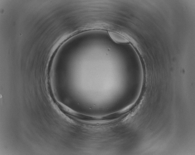 X0000076440949200610061254