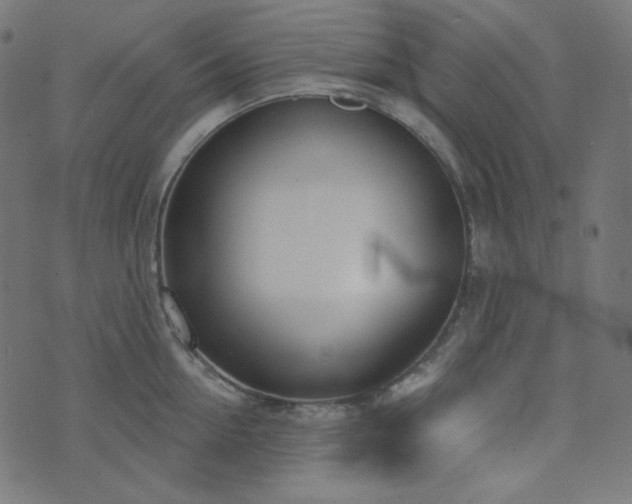 X0000076440954200610061254