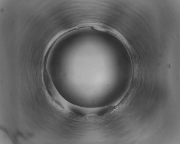 X0000076440955200610061254