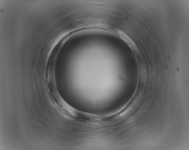 X0000076440956200610061254