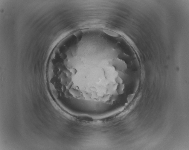 X0000076440957200610061254
