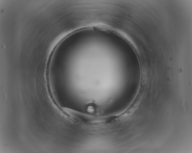 X0000076440959200610061254