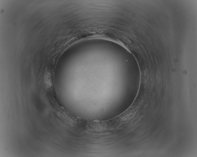 X0000076440962200610061253