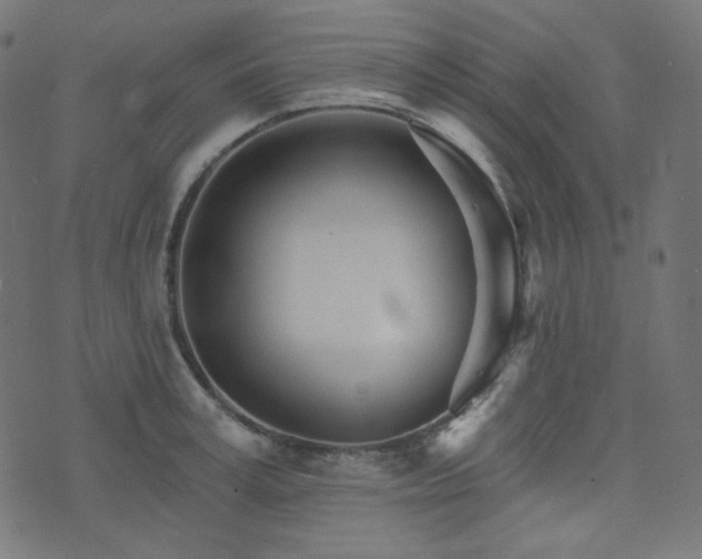 X0000076440995200610061253
