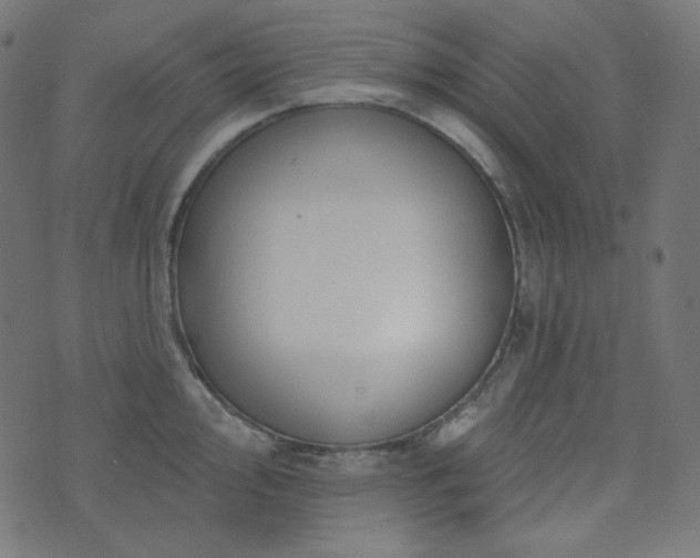 X0000076441000200610061253