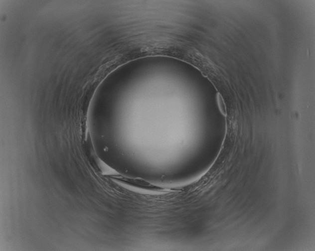 X0000076441012200610061252