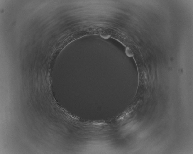 X0000076441013200610061252