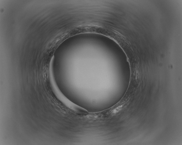X0000076441014200610061252