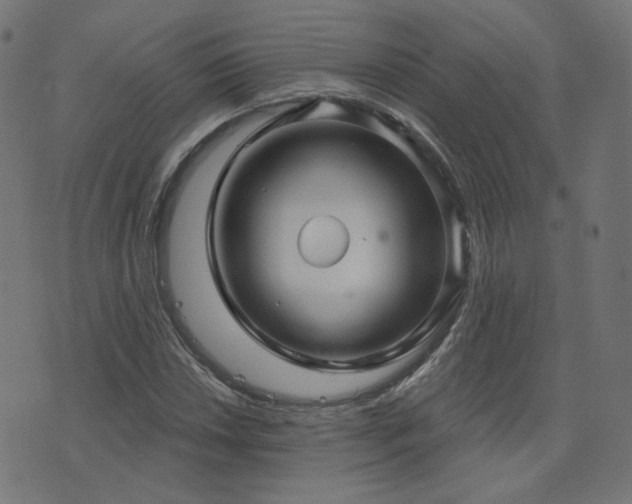 X0000076441018200610061252