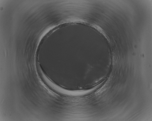 X0000076441024200610061252