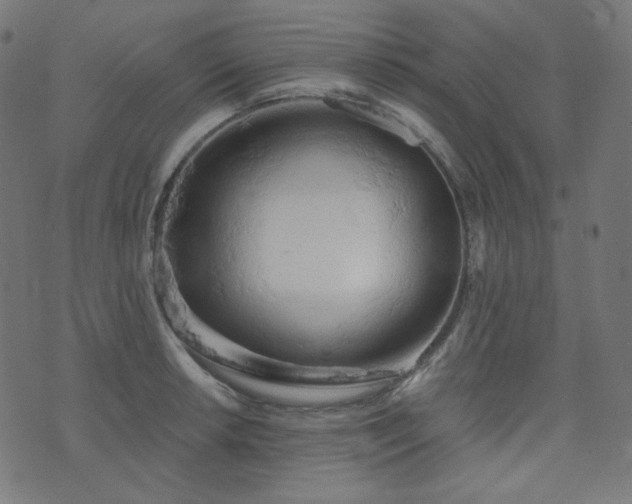 X0000076441042200610061252