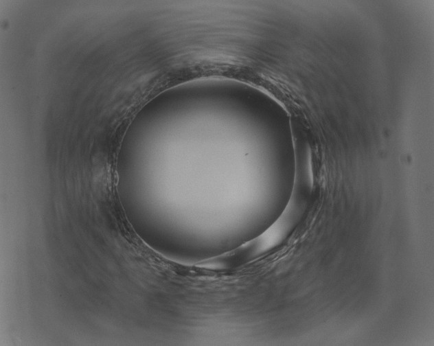 X0000076441061200610061252