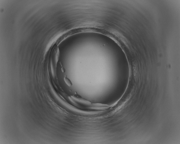 X0000076441069200610061251