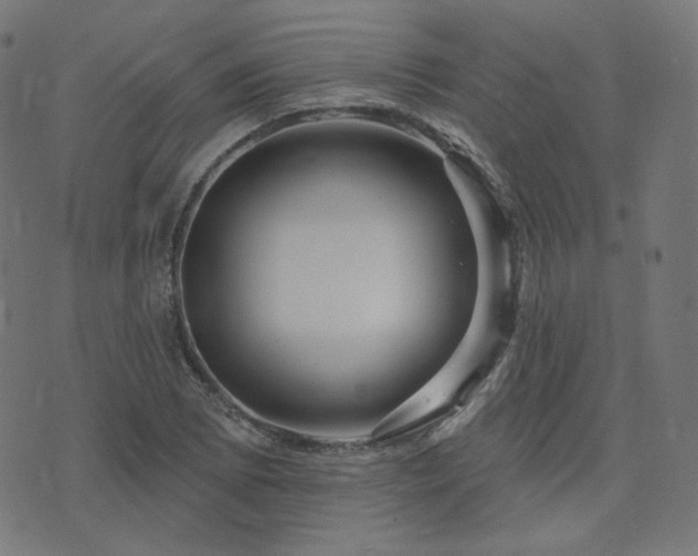 X0000076441073200610061251