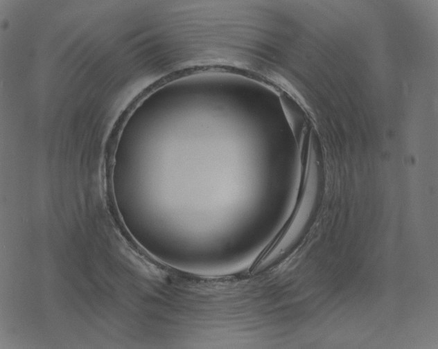 X0000076441076200610061251