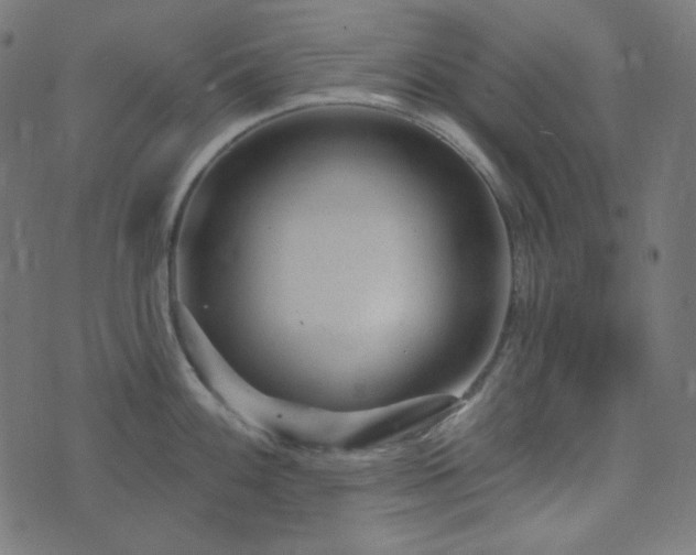X0000076441100200610061251