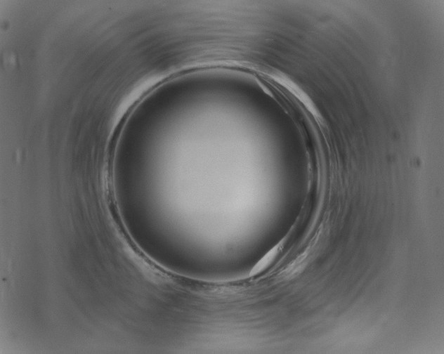 X0000076441101200610061251