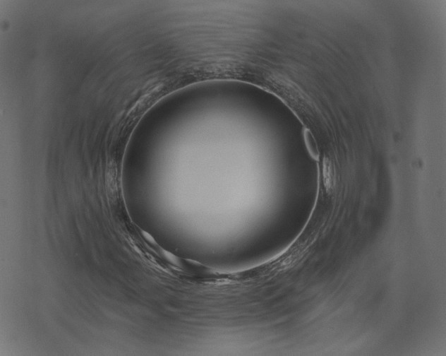 X0000076441107200610061250