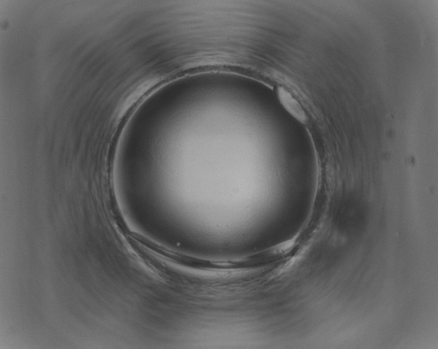 X0000076441129200610061251
