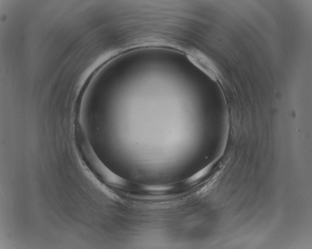 X0000076441142200610061251