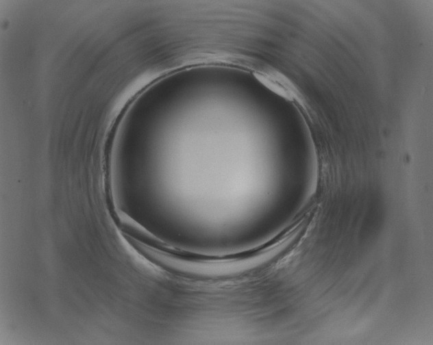 X0000076441143200610061251