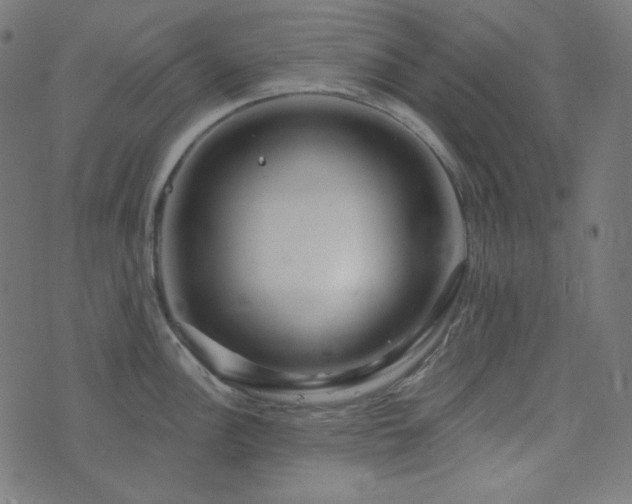 X0000076441148200610061251