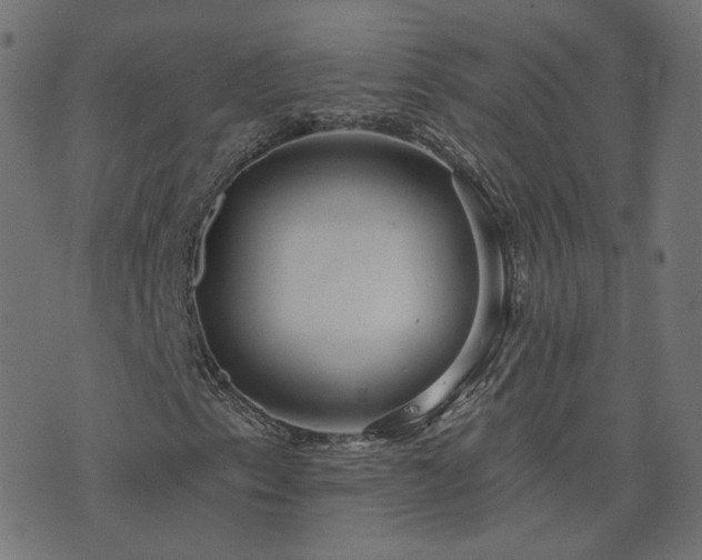 X0000076441153200610061250