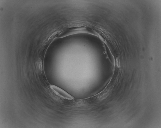 X0000076441155200610061250