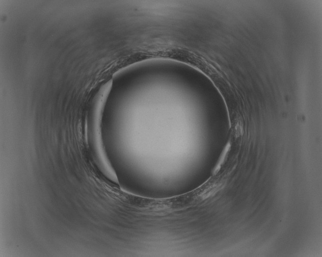 X0000076441156200610061250