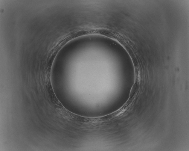 X0000076441157200610061250