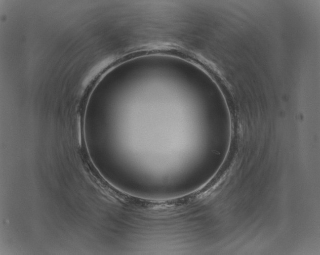 X0000076441171200610061250