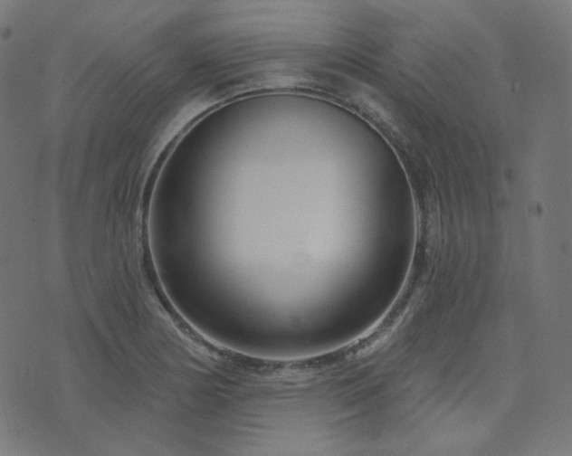 X0000076441178200610061250