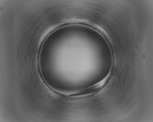 X0000076441183200610061250