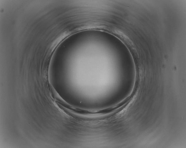 X0000076441185200610061250