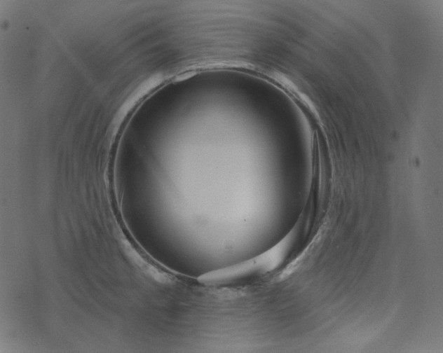X0000076441189200610061250