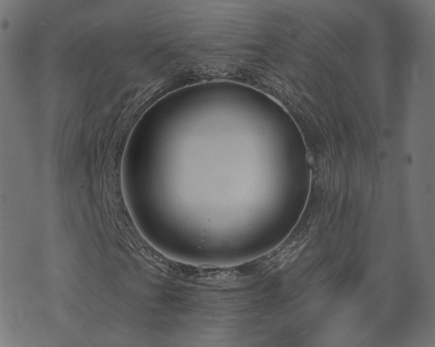 X0000076441201200610061249