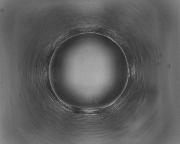 X0000076441204200610061249