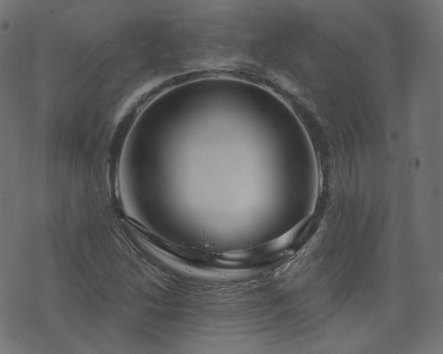 X0000076441214200610061249
