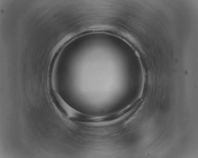 X0000076441229200610061249