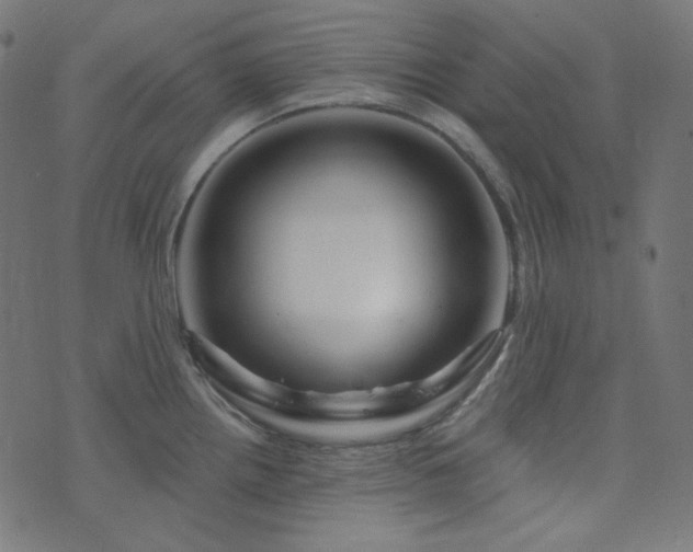X0000076441242200610061249