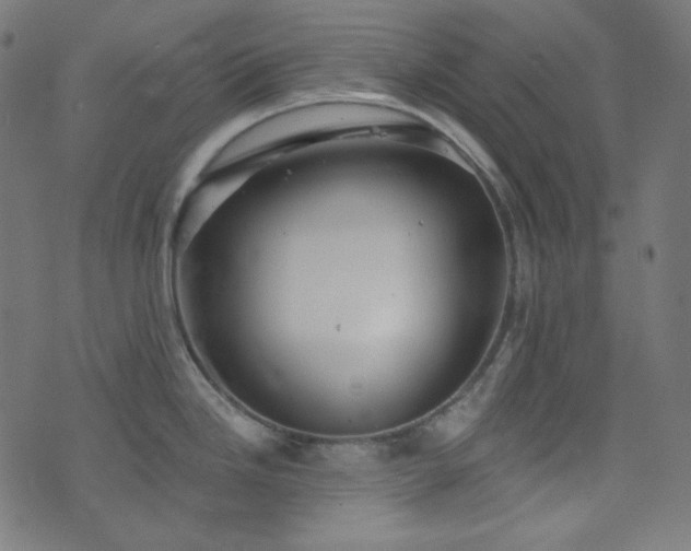 X0000076441246200610061249