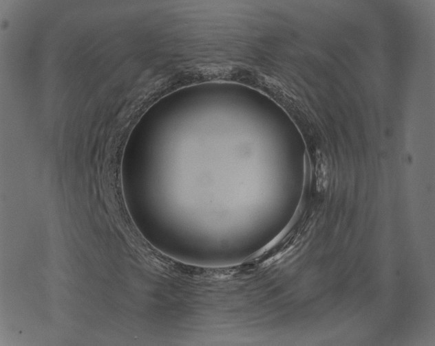 X0000076441249200610061249